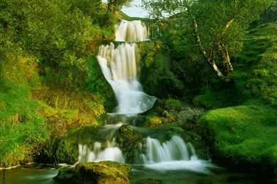 Moving Wallpapers Free Download   Wallpapers High Definition