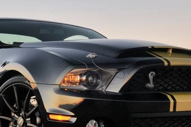 Wallpapers For iPhone 5   Find A Wallpaper, Backgrounds Or Lock ...