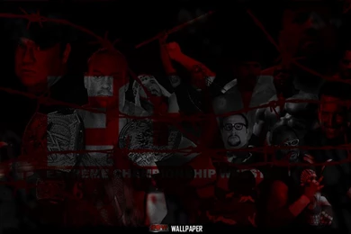 ECW Wallpapers By Norbiiii23 On DeviantArt