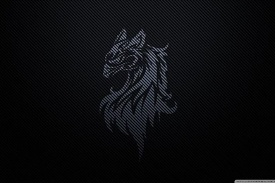 Carbon Fiber Gryffin By Betahouse HD Desktop Wallpapers ...