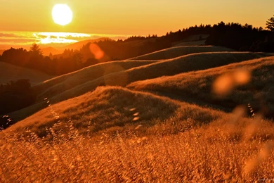 Download 1920x1080 Skyline Sunset Wallpapers