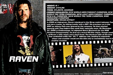 ECW On WrestlingFans   DeviantArt