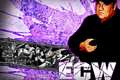 ECW 800x600 Wallpapers By DNGRLIAM On DeviantArt