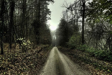 Download The Eerie Road Wallpaper, Eerie Road iPhone Wallpapers ...