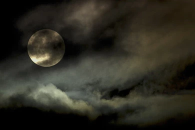 Windows 7 Wallpapers: Eerie Autumn