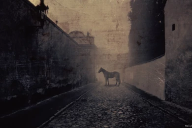 Halloween Wallpapers — Free Full HD Wallpaper. Widescreen HQ ...