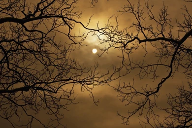 Eerie, Jpg, Wallpaper, Fanpop, Wallpapers, Halloween, Fanclubs ...