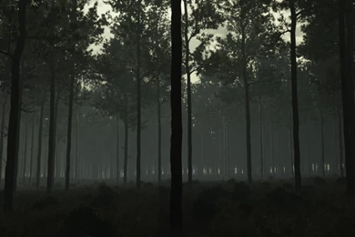 Eerie Forest 1 By Zlain81 On DeviantArt