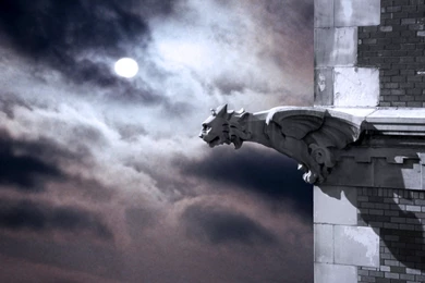 Random_hd_wallpaper_nice cool pics.com__2533_.jpg