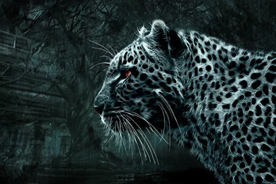 Обои Для Рабочего Стола Темные Wallpapers 175013