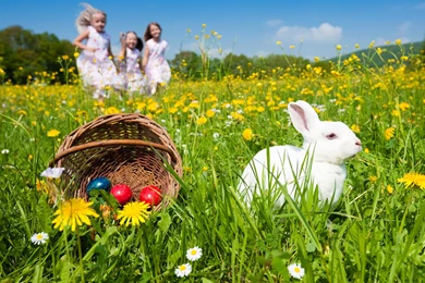 Eggs, Rabbit And Kids Wallpapers