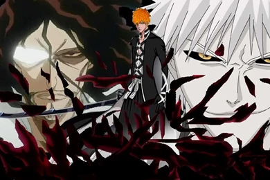 Bleach Wallpapers FullHD C204