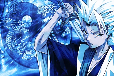 Bleach Wallpapers   Black Panther's Den Wallpapers (35049486)   Fanpop