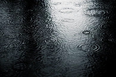Rain Wallpapers Hd   1447848