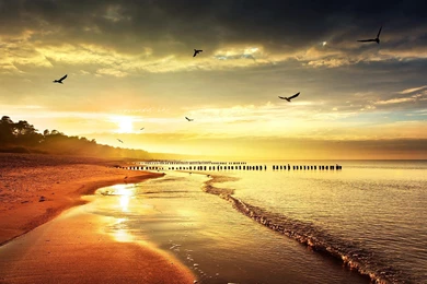 Jestingstock.com Sea Sunset Wallpapers