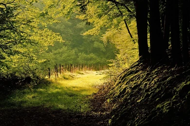 Imac Wallpapers Wallpapers Cave