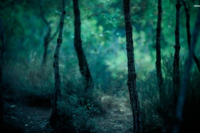 Earth Space Wallpapers Photo   Kemecer.com