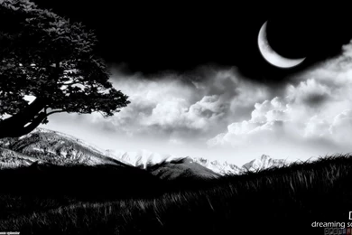 Dark Nature Wallpapers