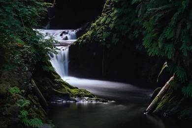 Download Wallpapers 1920x1080 Waterfall, Grass, Dark, Nature Full ...