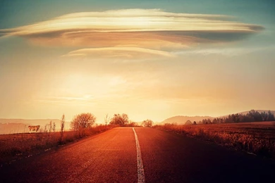 THE TRUTH IS OUT THERE WALLPAPER   (