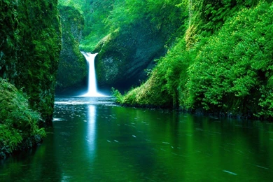 Desktop Wallpapers » Nature & Landscape Backgrounds » Page 2 » Www ...
