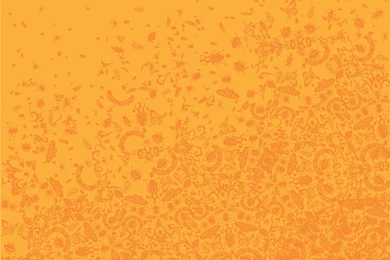 Download The Cigarettes Or Pesticide Wallpaper, Cigarettes Or ...