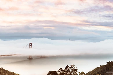 The Best Wallpapers Of The Year