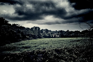 Dark Nature III By Proama On DeviantArt