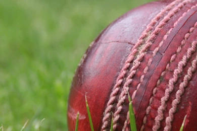 Cricket World Cup 2015 Wallpapers For iPhone & iPad   Cupertino Times