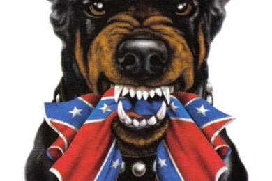 Cool Rebel Flag Backgrounds