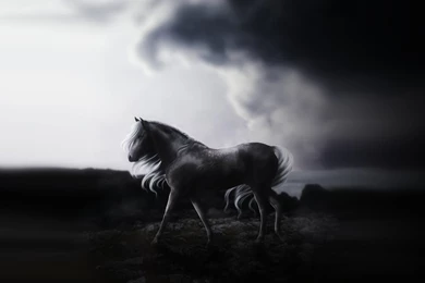 Wallpapers   Love Me With Every Step I Take By Pipvl On DeviantArt