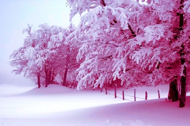 Hd Winter Wallpapers 20 – HdCoolWallpapers.Com