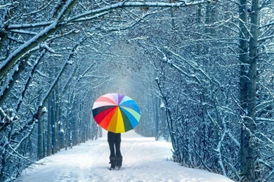 Winter Umbrella Nature Wallpapers Pictures