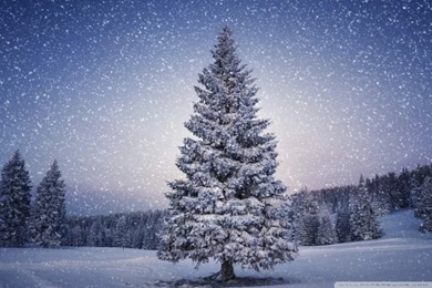 Winter Fairy Wallpapers Desktop 19 Cool Wallpapers   Hivewallpaper.com