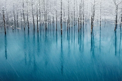 Hd Winter Wallpapers 9 – HdCoolWallpapers.Com