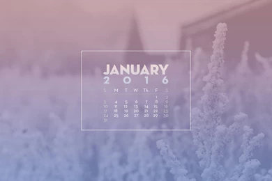 January Desktop Wallpapers Series: Minimalistic Pantone – Hello, Lovely