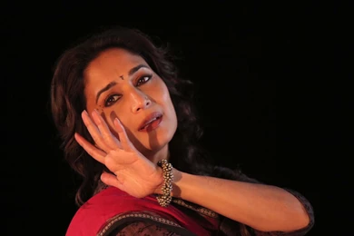 53305 Gulaab Gang HD Wallpaperology.jpg