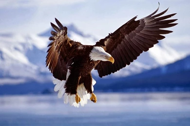 Wallpapers Picture Image Islamic Information English And Urdu ...