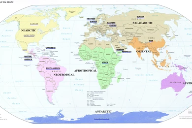 HD Map Of The World Map of world 1 high resolution wallpapers – HD ...