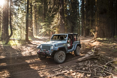 Jeep Wrangler Rubicion 10th Anniversary Edition In The Forest ...
