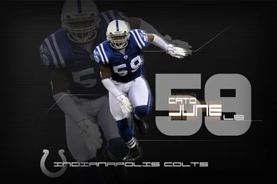 Pin Free Indianapolis Colts Wallpapers Wallpapers On Pinterest ...