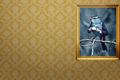 DeviantArt: More Like Classy As Fuck Wallpapers By Carlc4