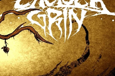 Wallpapers Chelsea Grin For Iphone 640x960