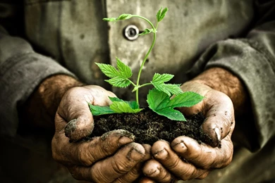 Earth Day – BUZZERG