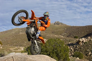 Wallpapers Ktm Logo 1024x768