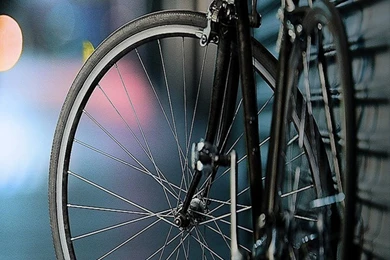 Hipster Fixie Bike Lumia 1020 Wallpapers (768x1280)