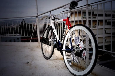 FUCK YEAH FIXED GEAR — Nelson Pista