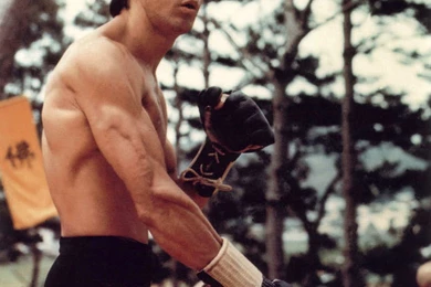 Jestingstock.com Bruce Lee Muscles Wallpapers