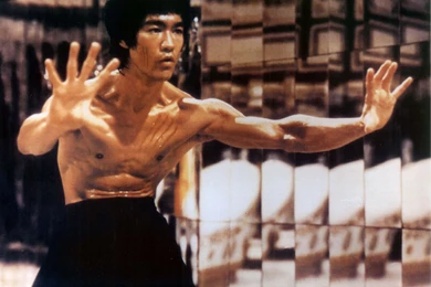 Jestingstock.com Bruce Lee Dragon Wallpapers