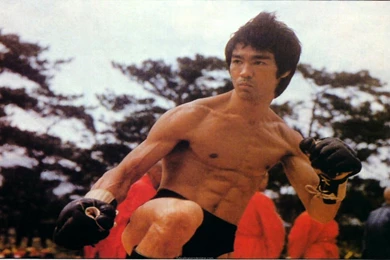 Wallpapers Bruce Lee Wallpapers Tattoo Designs Pictures 383670